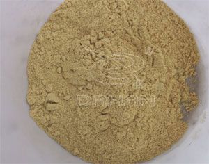 黄豆粉 黄豆粉